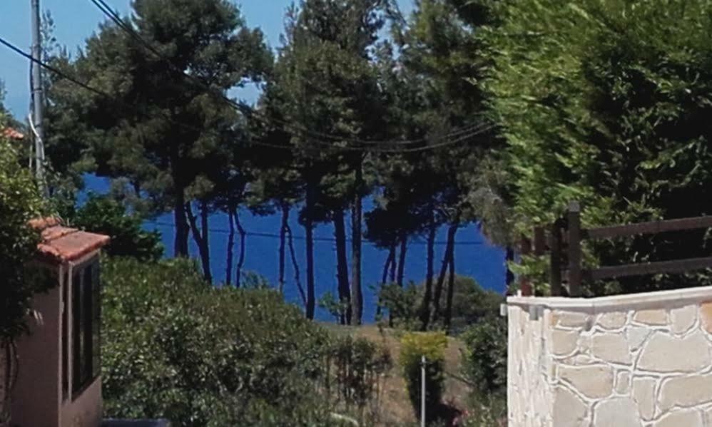 Villa Minthi Possidi Exterior foto